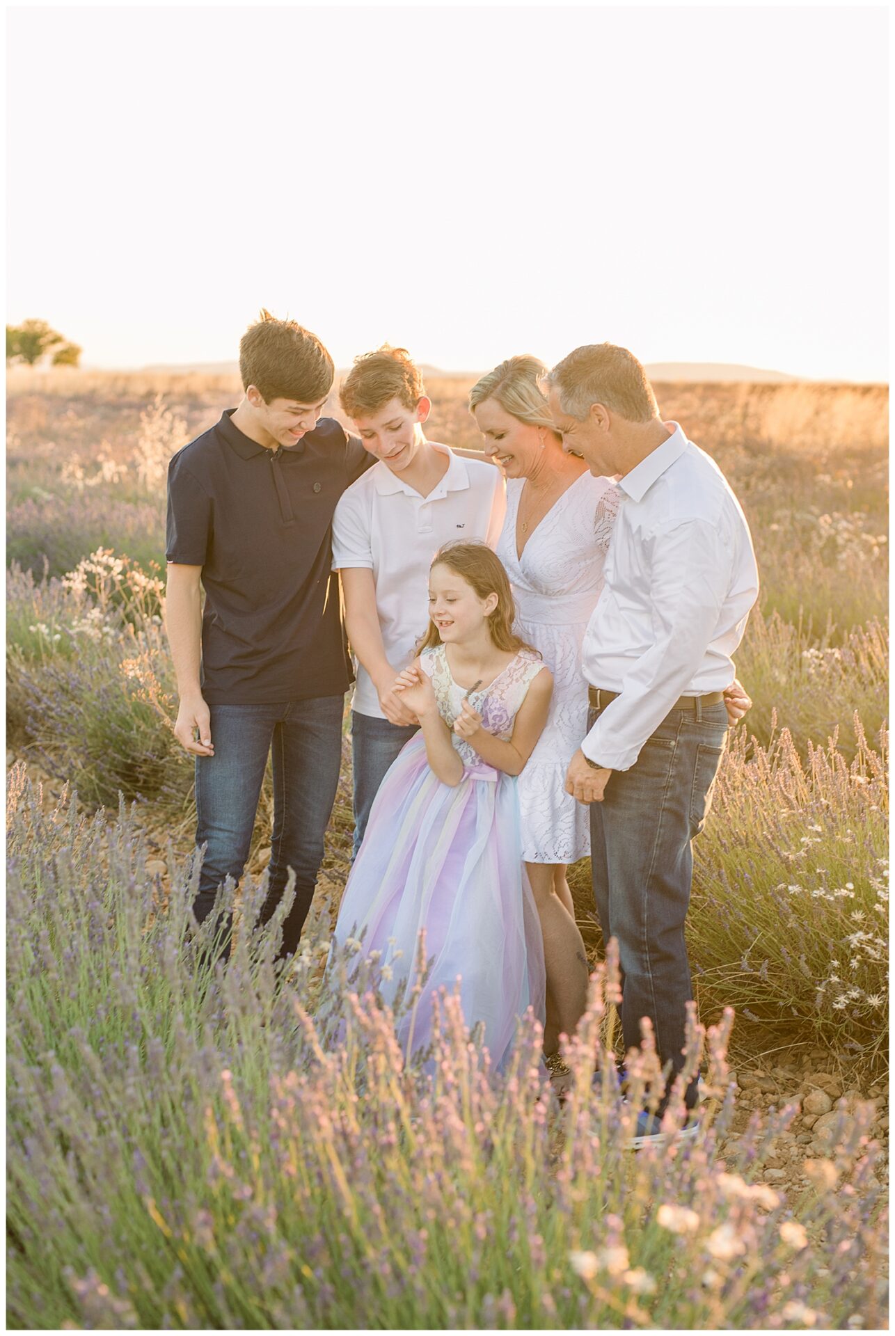 Seance photo famille avec un photographe dans les lavandes Valensole en Provence